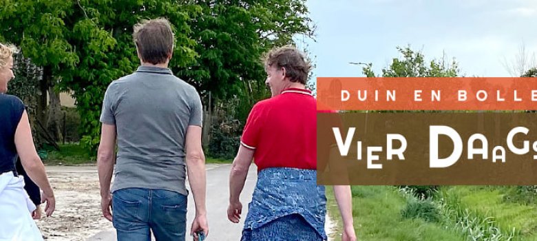 Duin en Bollen Vierdaagse