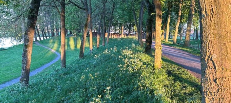 Groene Wallenwandeling