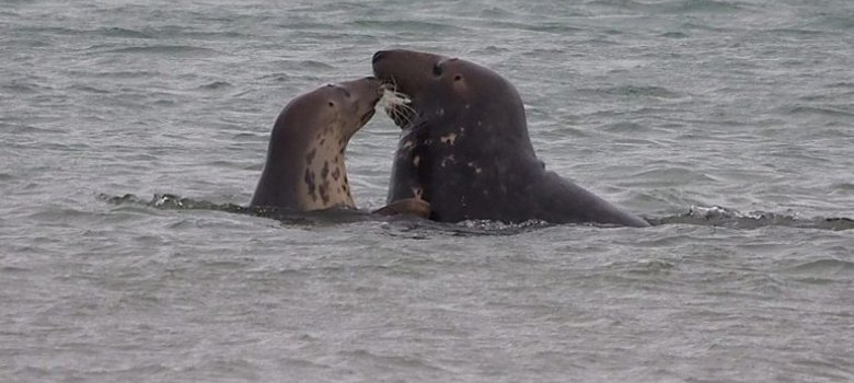 De Helderse Vallei - Lezing over de Noordzee