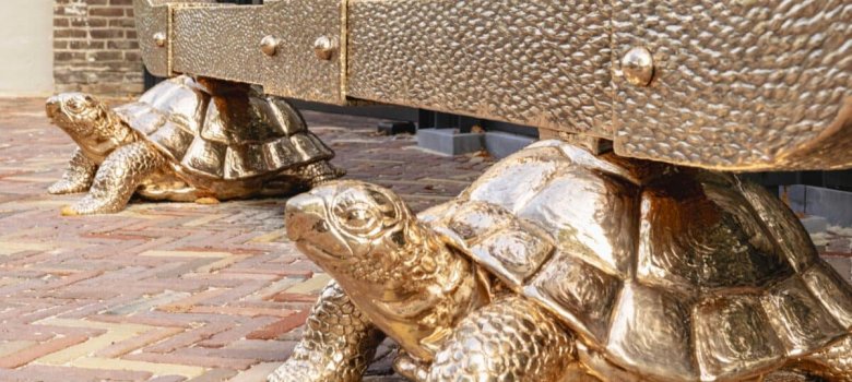 Op de rug van de schildpad