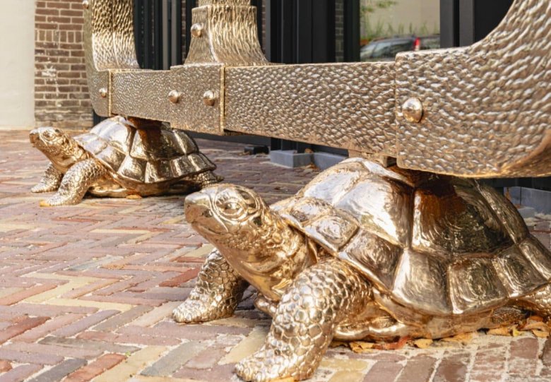 Op de rug van de schildpad