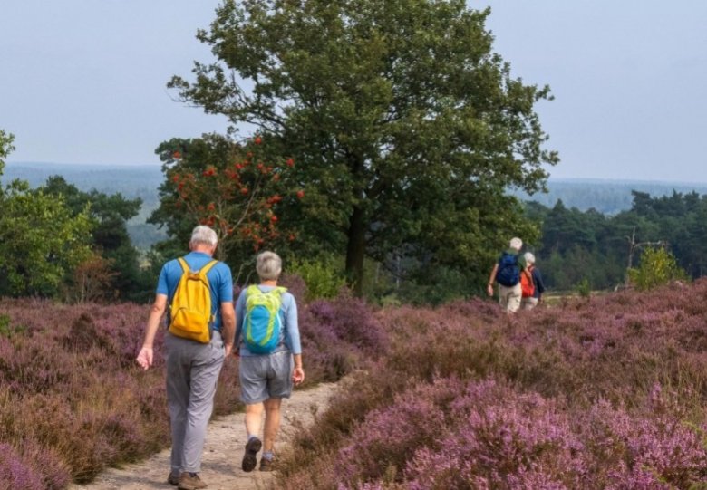 Ontdek de Lemelerberg