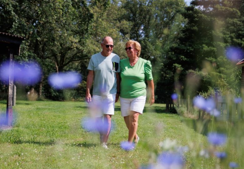 Happen & Stappen in Holten