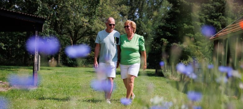 Happen & Stappen in Holten
