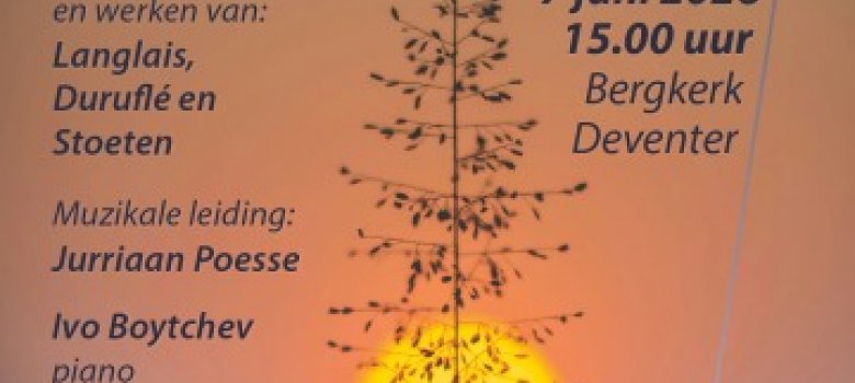 Het Deventer Dékoor in de Bergkerk