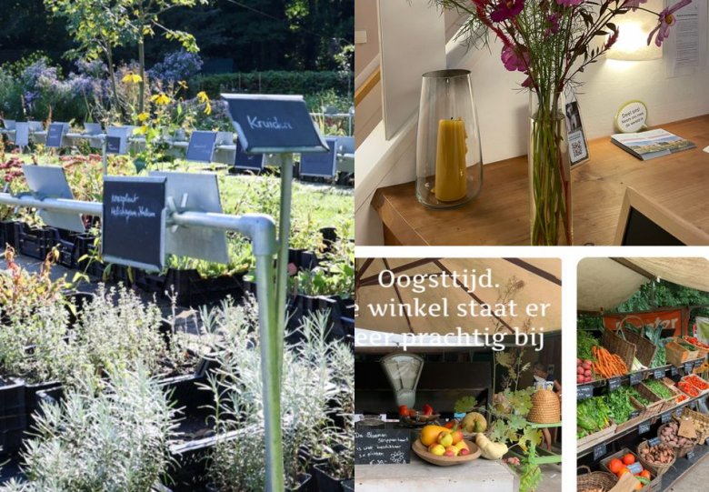Biologische kwekerij met Bloemenpluktuin en Landgoedwinkel