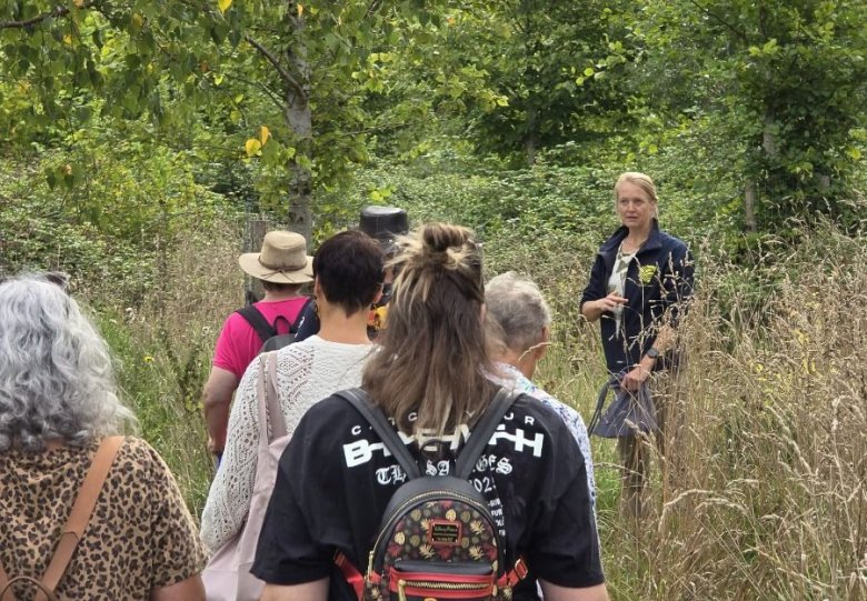 Wilde eetbare planten wandeling