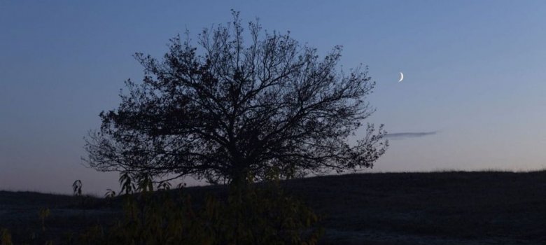 Nacht van de Nacht Grevelingen
