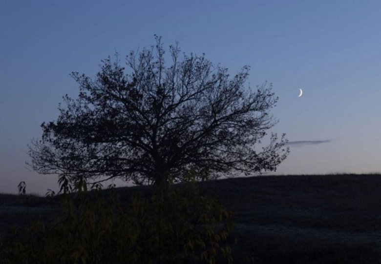 Nacht van de Nacht Grevelingen