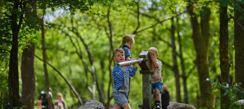 Op ontdekking in Speelbos 't Laer
