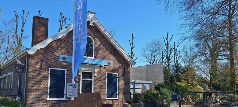 Fossieltjes maken (6+)