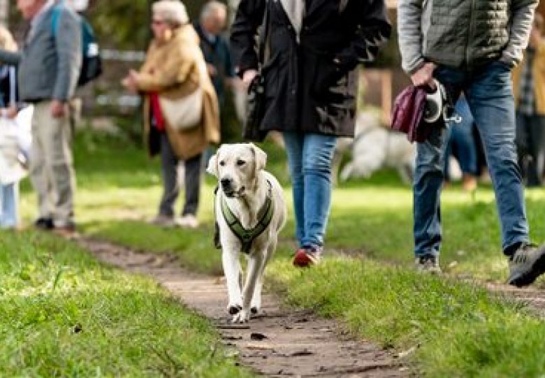The Big Walk