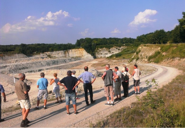 Begeleide wandelexcursie in de Steengroeve