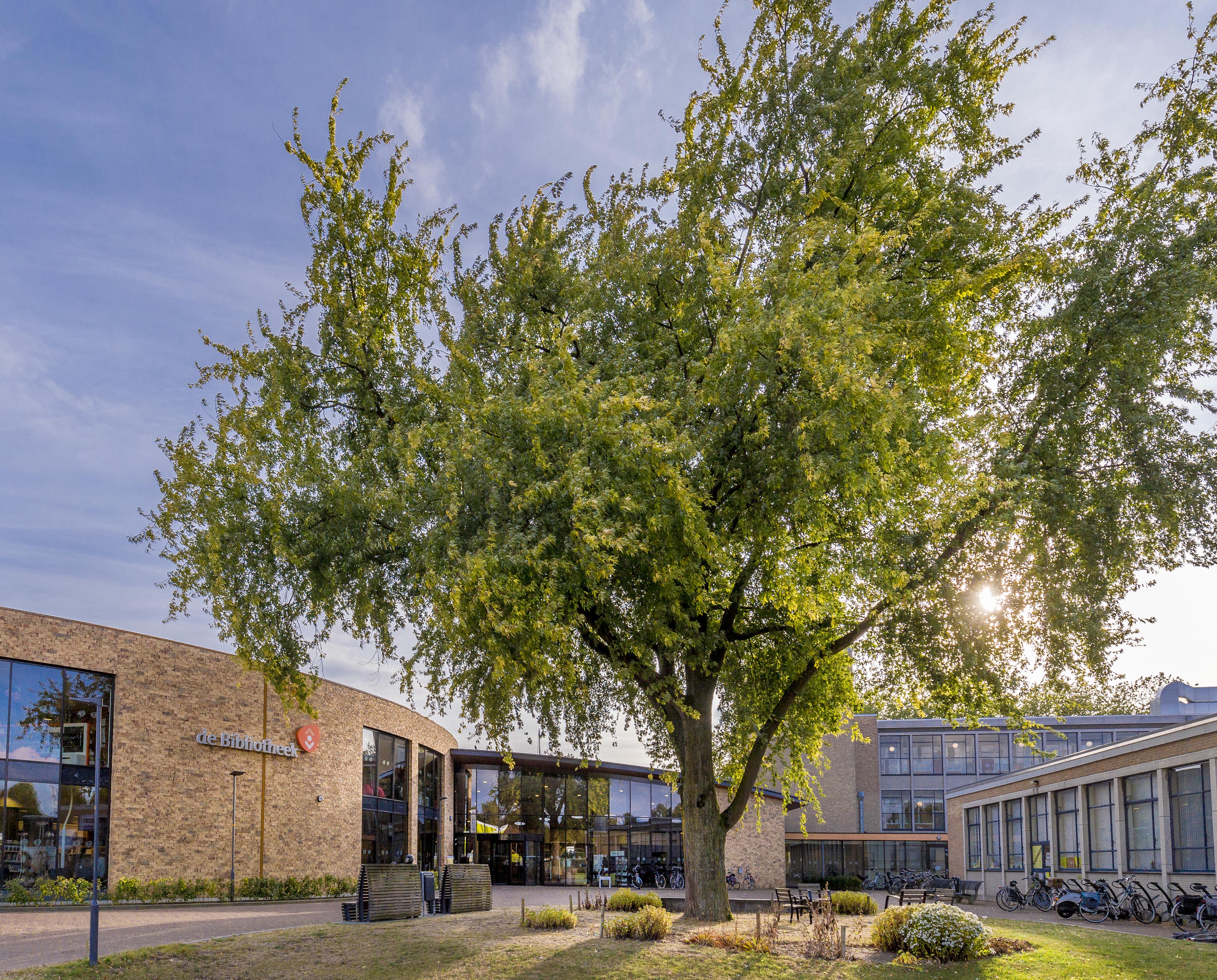 Vrijetijdkrant_Theater_t_Mozaiek