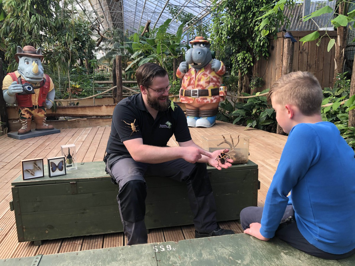 Zeeuwse_jungle