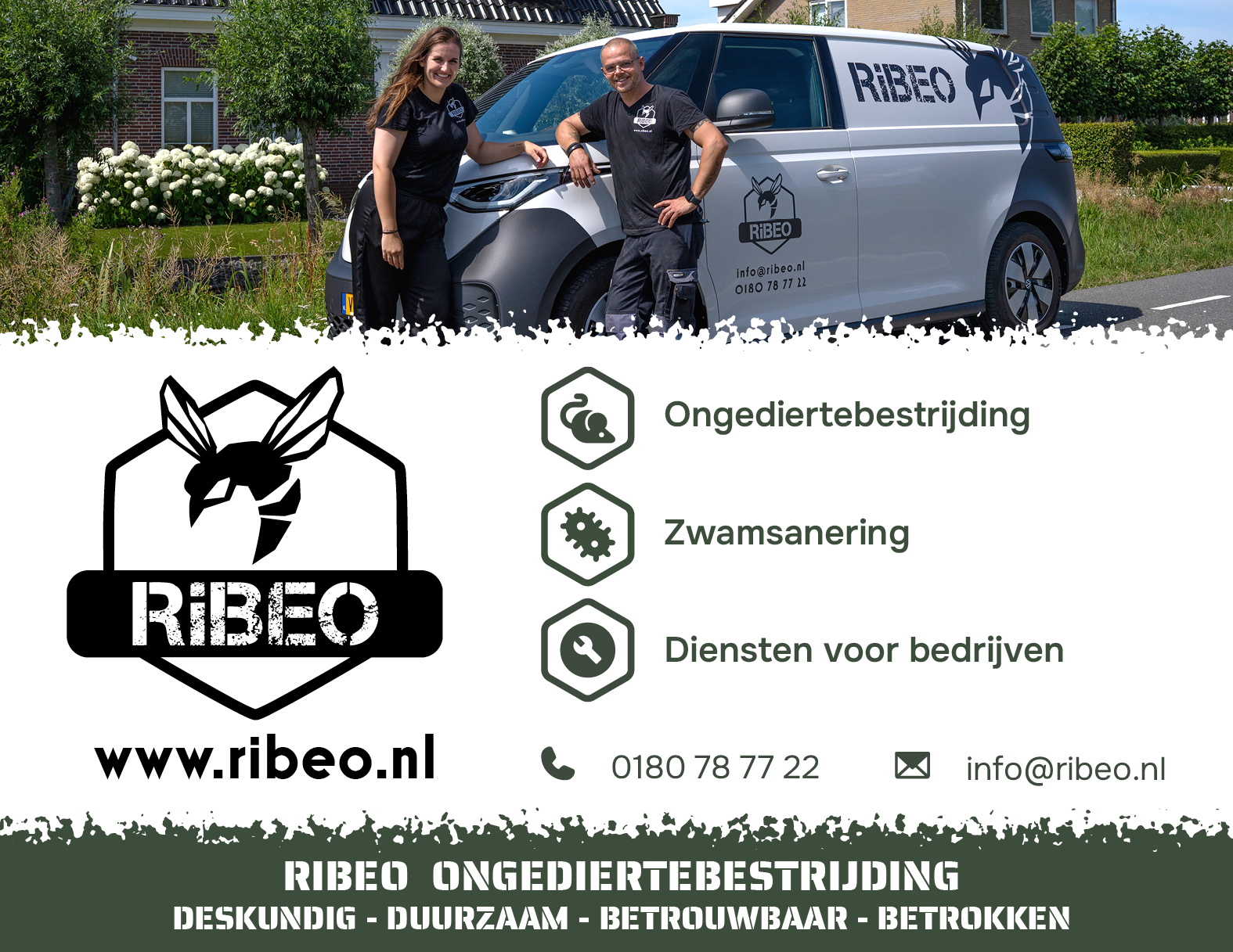 RIBEO