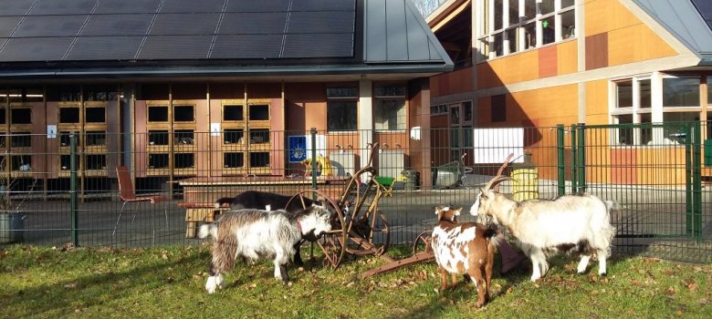 Kinderboerderij De Warande
