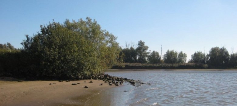 't Waal (Oost en West)